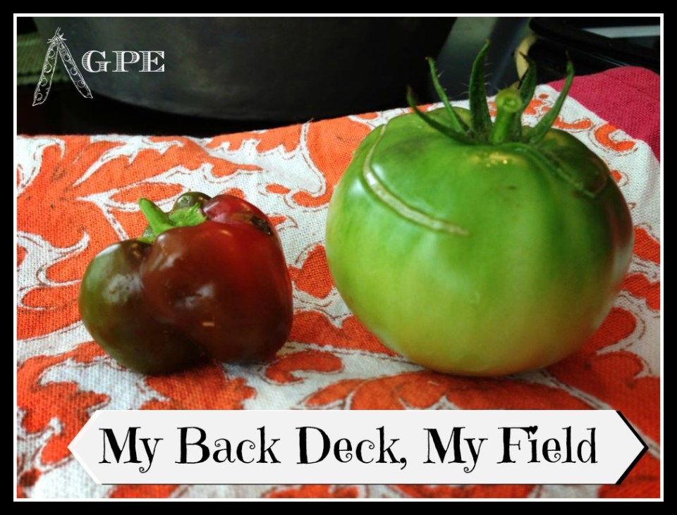 1011175_659835847363218_1702451826_n