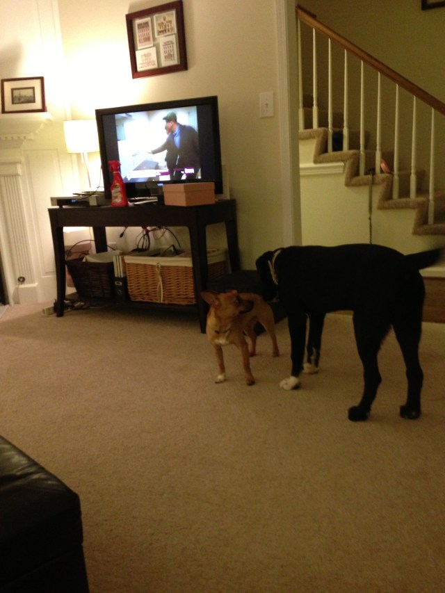 When Sookie met Bentley...